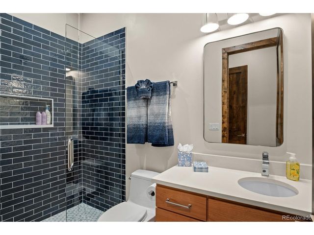 110 Windflower Ln, Frisco, CO 80443