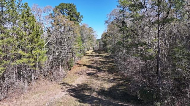 P#4 - TBD Us-190, Point Blank, TX 77364