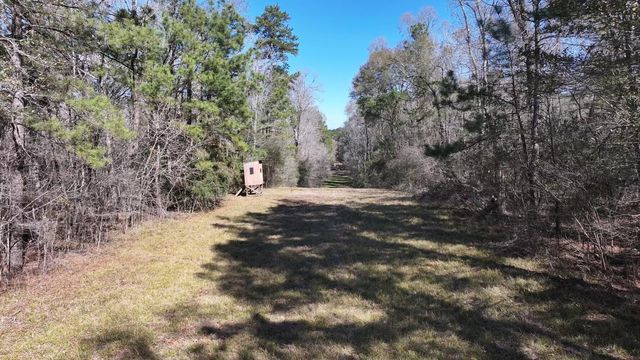 P#4 - TBD Us-190, Point Blank, TX 77364