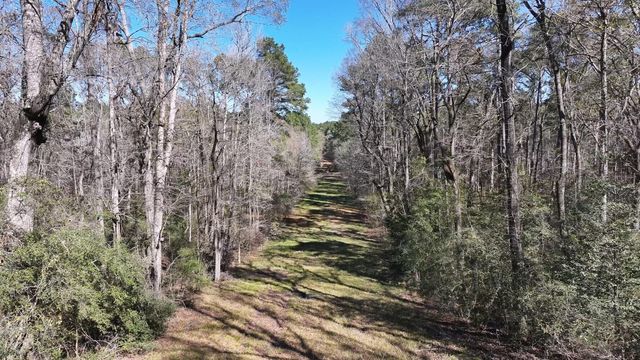 P#4 - TBD Us-190, Point Blank, TX 77364