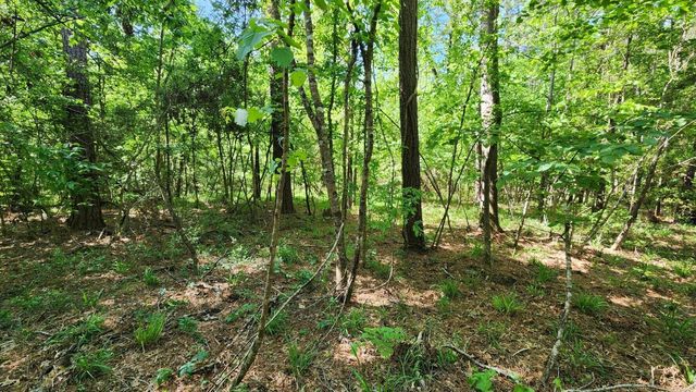 P#4 - TBD Us-190, Point Blank, TX 77364