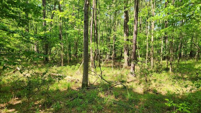 P#4 - TBD Us-190, Point Blank, TX 77364