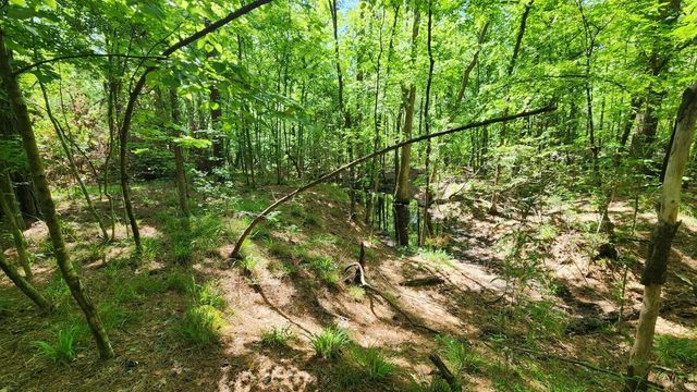 P#4 - TBD Us-190, Point Blank, TX 77364