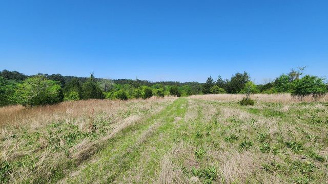 P#4 - TBD Us-190, Point Blank, TX 77364