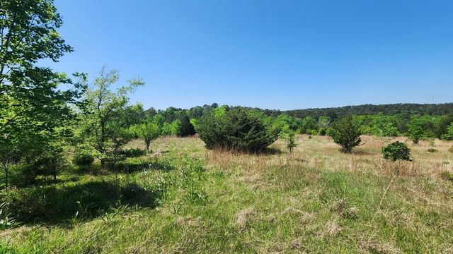 P#4 - TBD Us-190, Point Blank, TX 77364