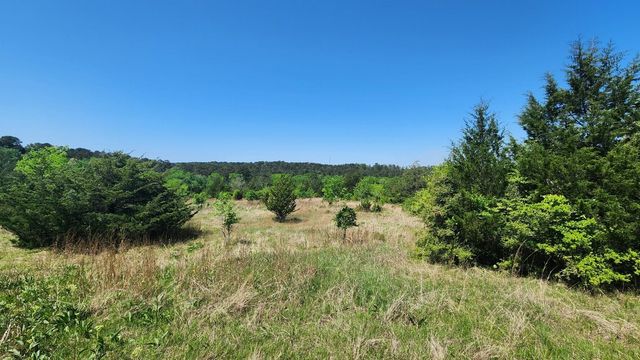 P#4 - TBD Us-190, Point Blank, TX 77364