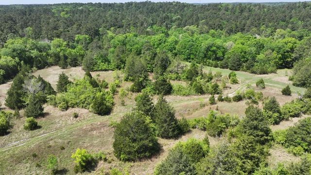 P#4 - TBD Us-190, Point Blank, TX 77364