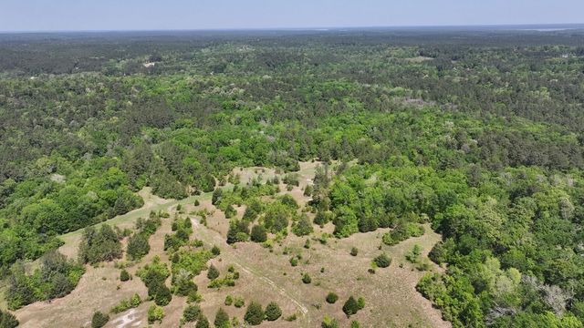 P#4 - TBD Us-190, Point Blank, TX 77364