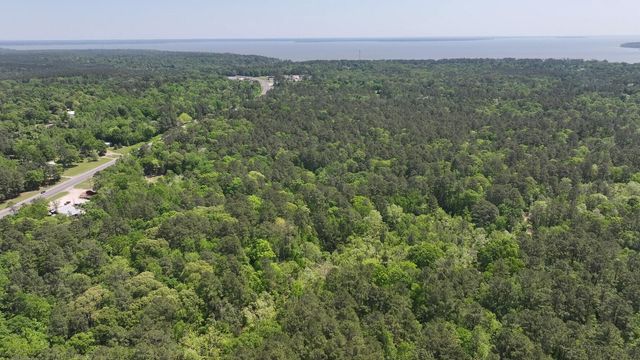 P#4 - TBD Us-190, Point Blank, TX 77364