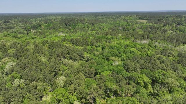 P#4 - TBD Us-190, Point Blank, TX 77364