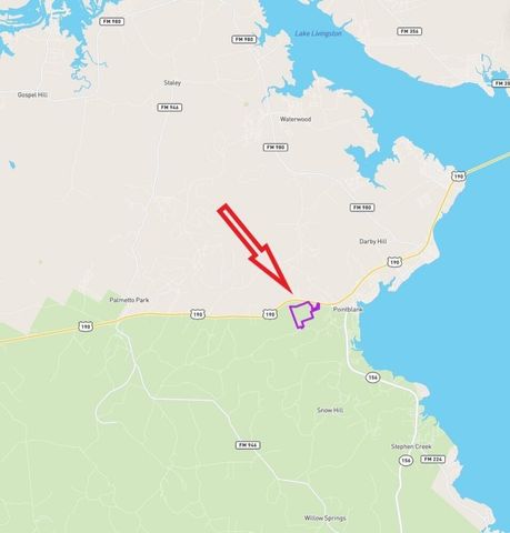 P#4 - TBD Us-190, Point Blank, TX 77364