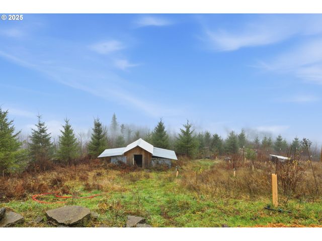 32400 Ne CLEARWATER Dr, Yacolt, WA 98675