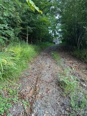 TBD Grapevine Road, Marshall, NC 28753