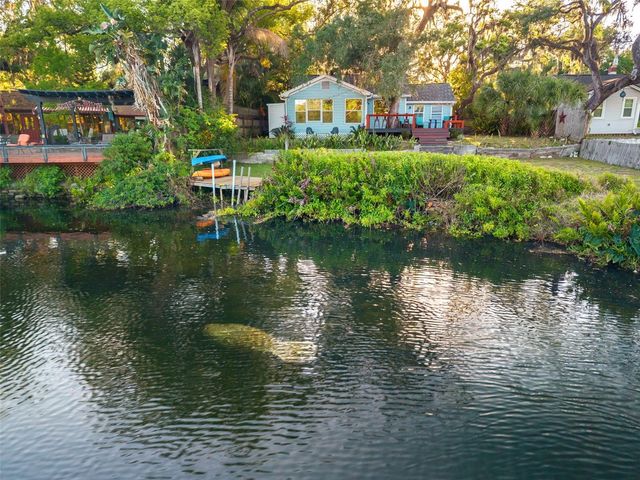 1502 E PARK CIRCLE, Tampa, FL 33610