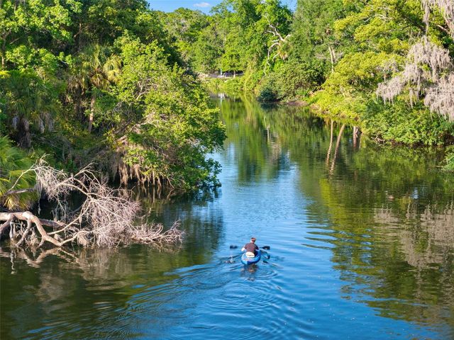 1502 E PARK CIRCLE, Tampa, FL 33610