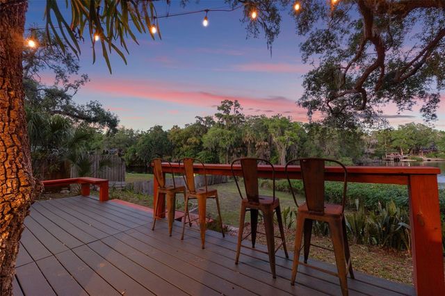 1502 E PARK CIRCLE, Tampa, FL 33610