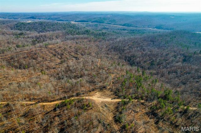 134 Madison CR 411, Fredericktown, MO 63645