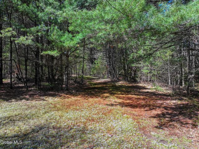16 Paradise Drive, Lake Luzerne, NY 12846