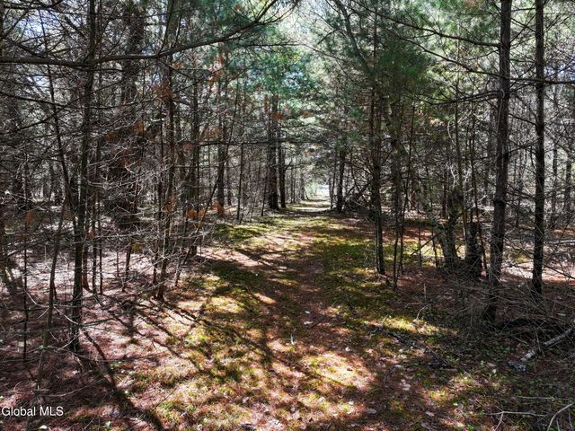 16 Paradise Drive, Lake Luzerne, NY 12846