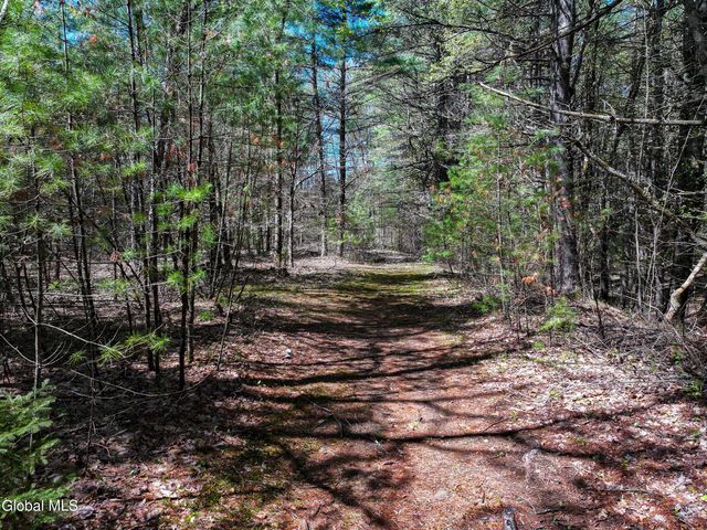 16 Paradise Drive, Lake Luzerne, NY 12846
