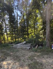 0 Paul Harrell Rd, Beechgrove, TN 37018