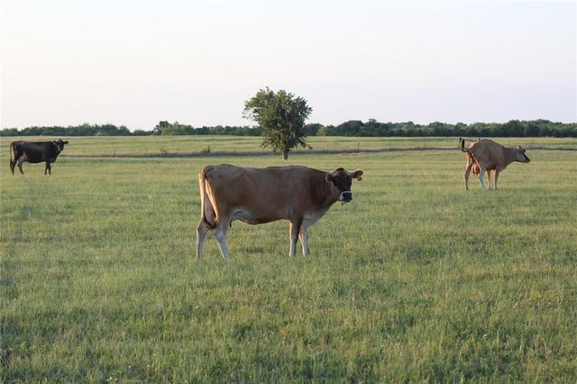 TBD CO RD 4518, Wolfe City, TX 75496