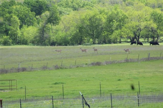 TBD CO RD 4518, Wolfe City, TX 75496