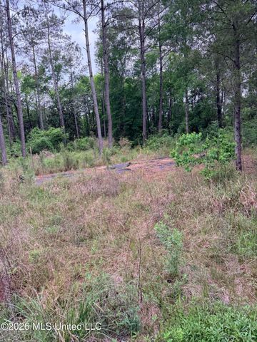 Kenneth Cole Road, Vancleave, MS 39565