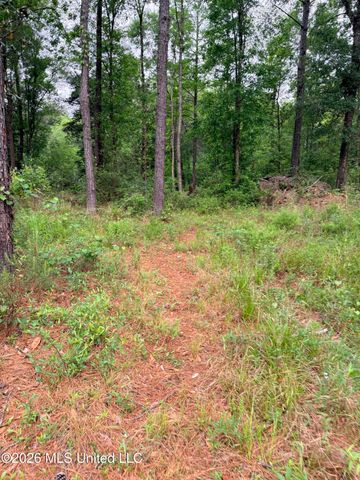 Kenneth Cole Road, Vancleave, MS 39565