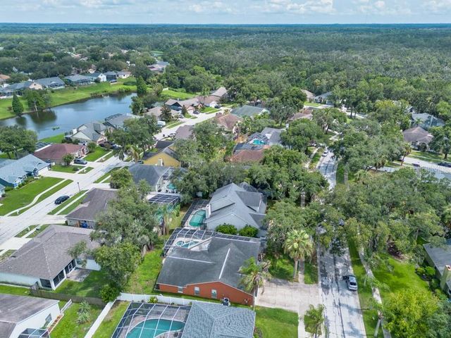 4609 OAK RIVER CIRCLE, Valrico, FL 33596