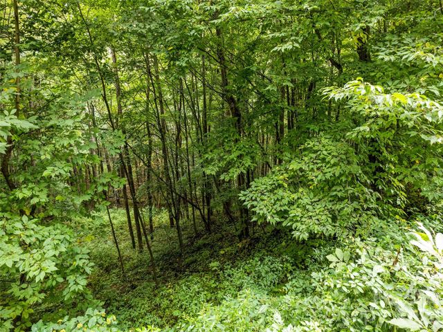 Lot 12 Bow N Arrow Cove, Waynesville, NC 28785