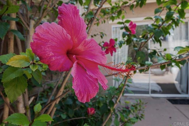 6458 Ficus Place, Carlsbad, CA 92011