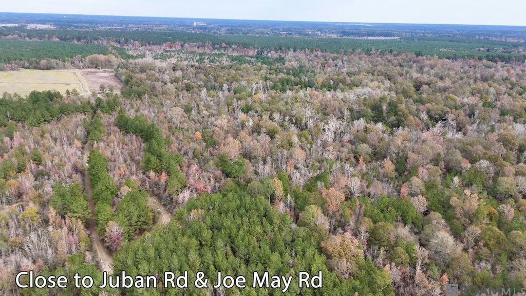 TBD 1 Joe May Rd, Denham Springs, LA 70726
