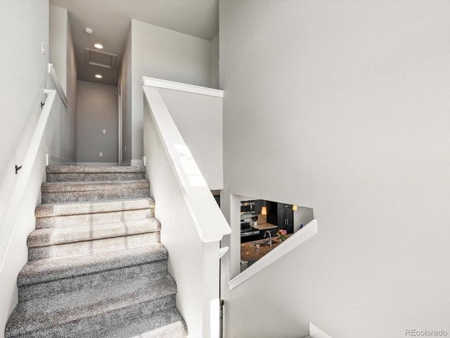 1644 Shoreview Pkwy, Severance, CO 80550