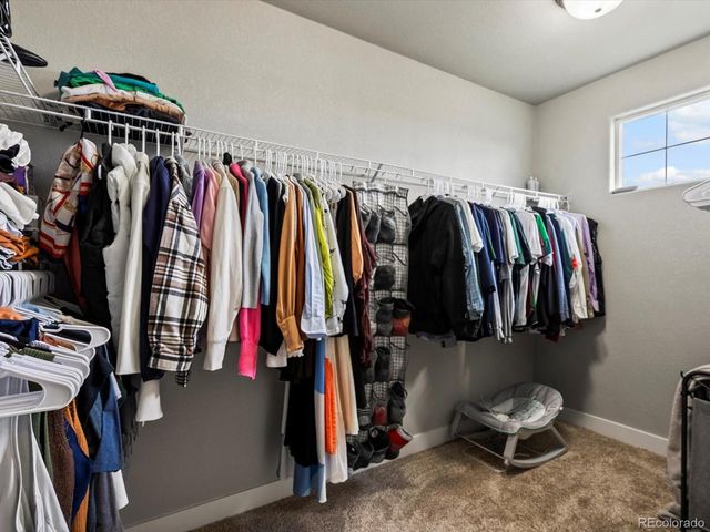 1644 Shoreview Pkwy, Severance, CO 80550