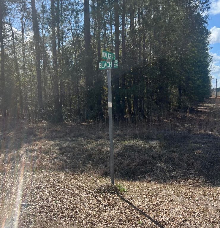 Image 3 of property listing at 2009 Beach Road, Walterboro, SC 29488