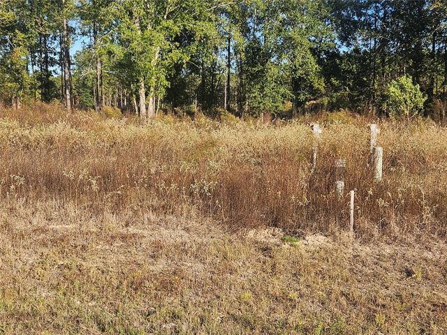 8030 Road 5891, Cleveland, TX 77327