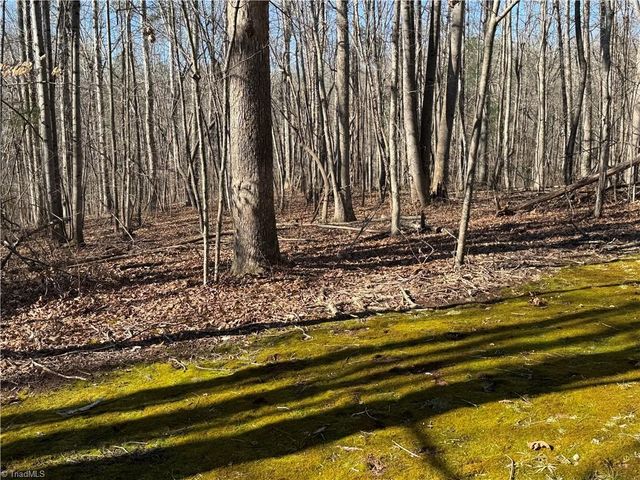 1055 Brookridge Drive, Walnut Cove, NC 27052