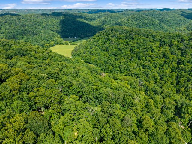 95 Wild Turkey Run, Stanton, KY 40380