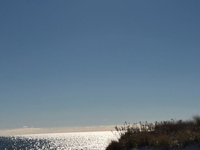 42 Marthas Ln, Harwich, MA 02645