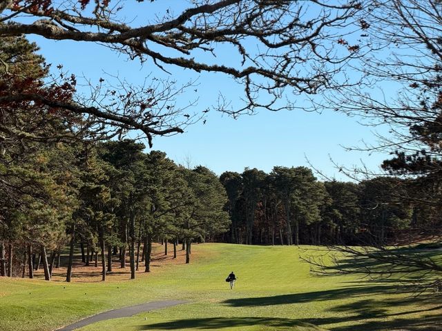 42 Marthas Ln, Harwich, MA 02645