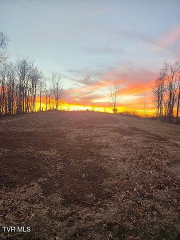 1965 Carterton Road, Lebanon, VA 24266