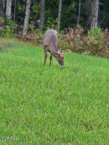 1965 Carterton Road, Lebanon, VA 24266