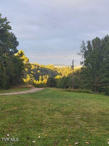 1965 Carterton Road, Lebanon, VA 24266