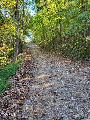 1965 Carterton Road, Lebanon, VA 24266