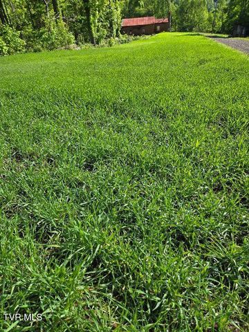 1965 Carterton Road, Lebanon, VA 24266