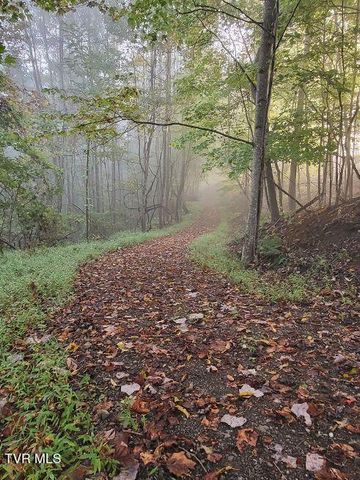 1965 Carterton Road, Lebanon, VA 24266