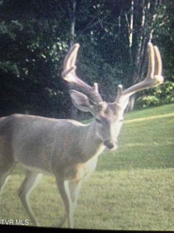 1965 Carterton Road, Lebanon, VA 24266