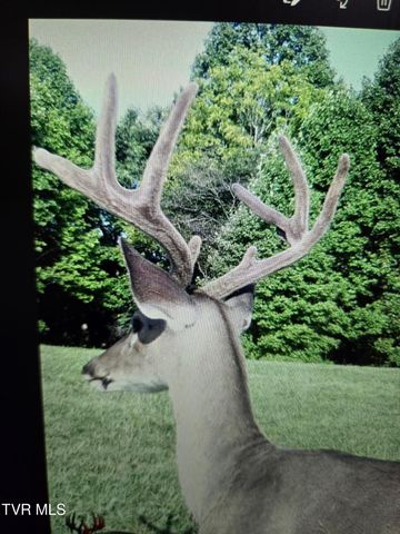 1965 Carterton Road, Lebanon, VA 24266