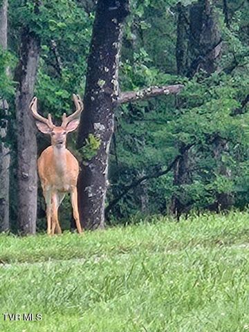 1965 Carterton Road, Lebanon, VA 24266